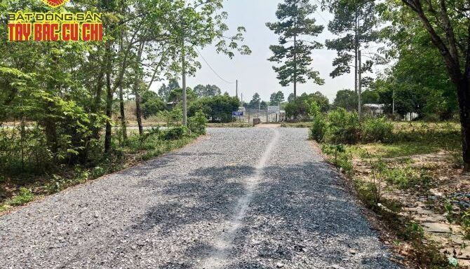 Bán kho, nhà xưởng Xã An Nhơn Tây – ảnh 5/6