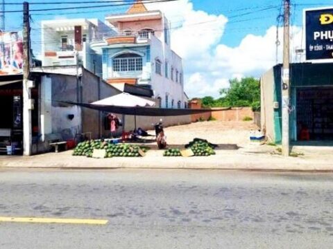 Bán đất thổ cư Tân Thạnh Tây 774m2 nở hậu, Tỉnh Lộ 15
