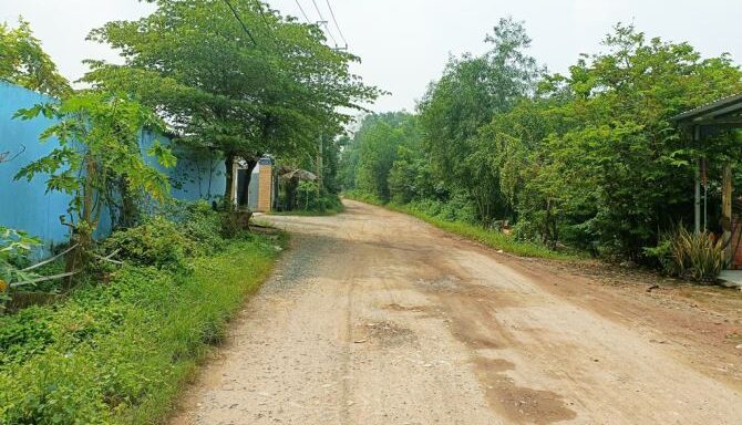 Bán đất thổ cư Xã Tân An Hội – ảnh 5/6