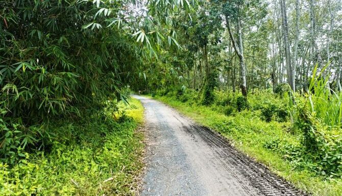 Bán đất thổ cư Xã Thái Mỹ – ảnh 3/6