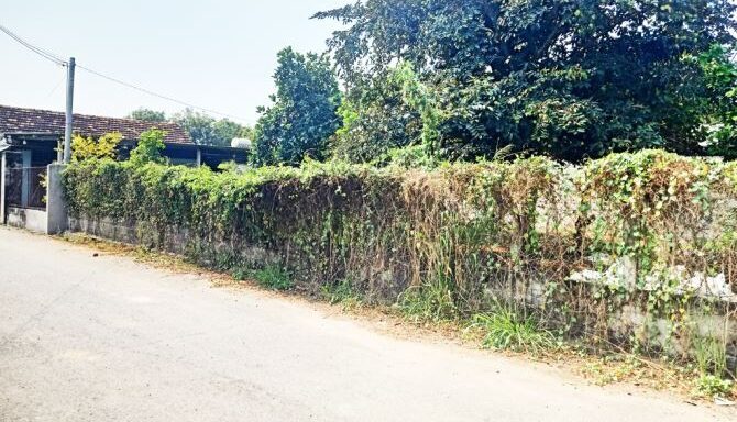 Bán đất thổ cư Xã Nhuận Đức – ảnh 1/5
