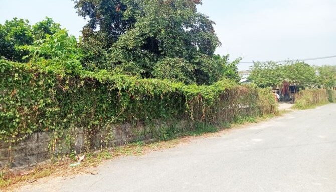 Bán đất thổ cư Xã Nhuận Đức – ảnh 2/5
