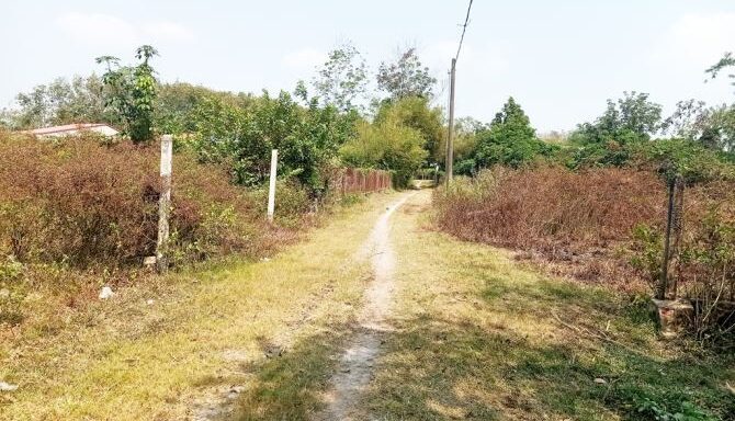 Bán đất thổ cư Xã Thái Mỹ – ảnh 3/4