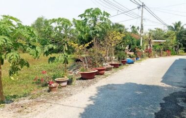 Bán đất thổ cư xã An Phú, Củ Chi 326m2 đường Huỳnh Thị Xem