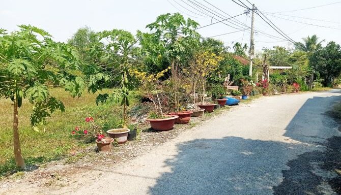 Bán đất thổ cư Xã An Nhơn Tây – ảnh 1/5