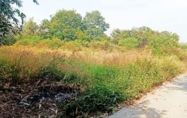 Bán đất thổ cư Tân Thạnh Đông, Củ Chi 1000m2 20×50