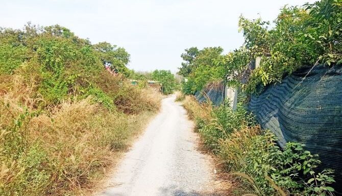 Bán đất thổ cư Xã Phú Hòa Đông – ảnh 4/6
