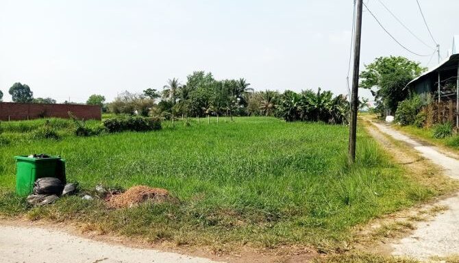Bán đất thổ cư Xã Thái Mỹ – ảnh 2/5