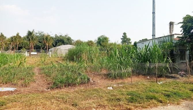 Bán đất thổ cư Xã Tân An Hội – ảnh 1/4
