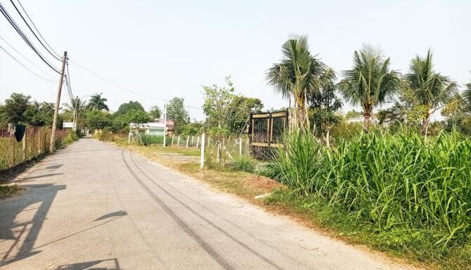 Bán đất thổ cư Xã Tân An Hội – ảnh 2/4