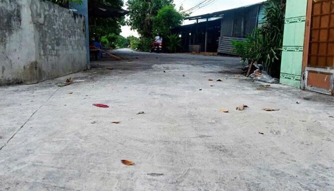 Bán kho, nhà xưởng Xã Phú Hòa Đông – ảnh 3/6