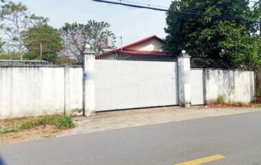 Bán nhà xưởng 3 mặt tiền Bùi Thị Điệt, xã Phạm Văn Cội, Củ Chi 2332m2