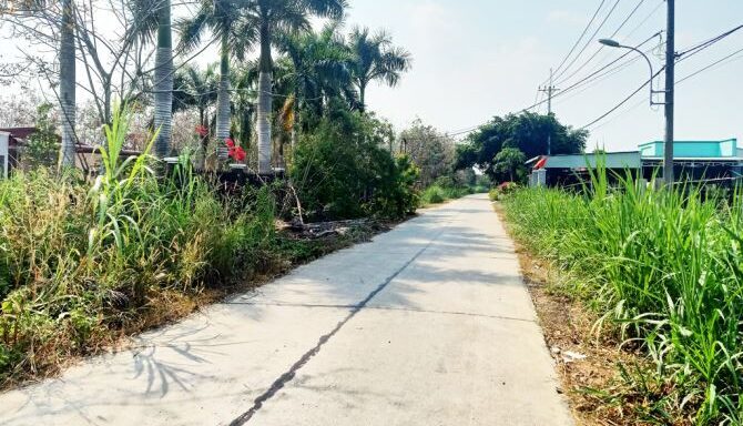 Bán kho, nhà xưởng Xã Thái Mỹ – ảnh 2/6