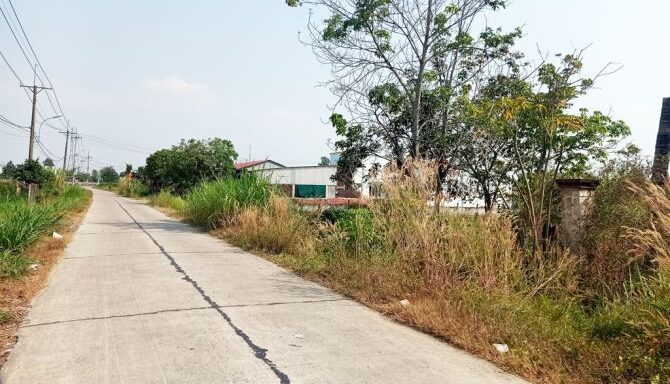 Bán kho, nhà xưởng Xã Thái Mỹ – ảnh 3/6