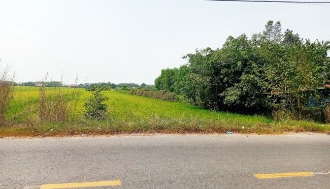 Bán đất thổ cư Xã Thái Mỹ – ảnh 1/5