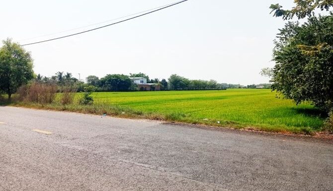 Bán đất thổ cư Xã Thái Mỹ – ảnh 2/5