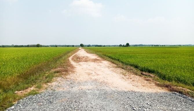 Bán đất nông nghiệp, đất vườn Xã Thái Mỹ – ảnh 2/6