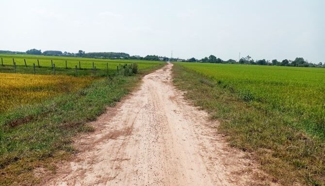 Bán đất nông nghiệp, đất vườn Xã Thái Mỹ – ảnh 3/6