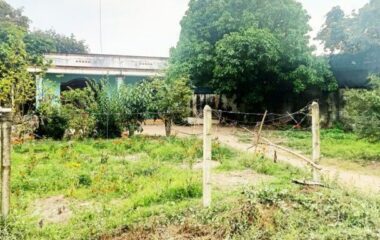 Bán nhà mặt tiền Trần Thị Tuồng, Phú Hòa Đông, Củ Chi 1074m2