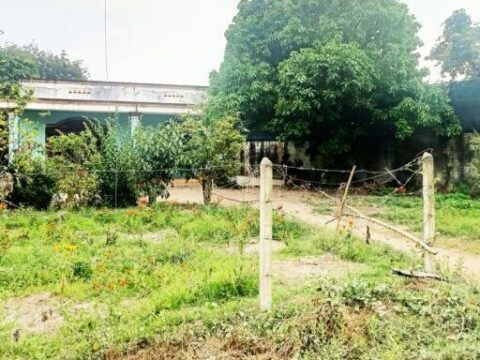Bán nhà mặt tiền Trần Thị Tuồng, Phú Hòa Đông, Củ Chi 1074m2