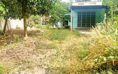 Bán nhà vườn 1/ đường 437 Phú Hòa Đông 540m2 có 120m2 thổ cư