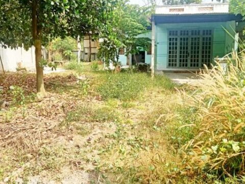 Bán nhà vườn 1/ đường 437 Phú Hòa Đông 540m2 có 120m2 thổ cư