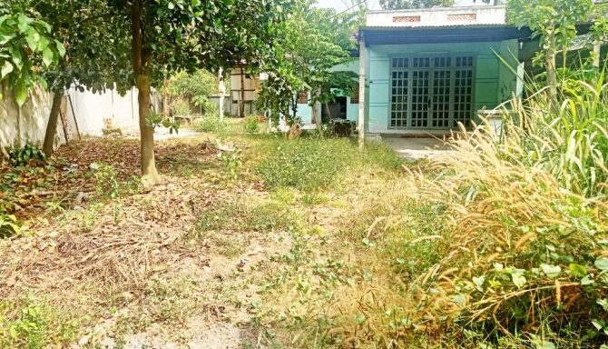 Bán nhà riêng Xã Phú Hòa Đông – ảnh 1/6