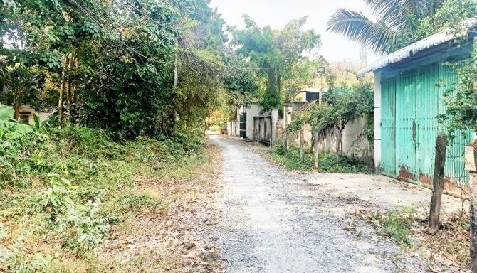 Bán nhà riêng Xã Phú Hòa Đông – ảnh 5/6