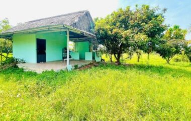 Bán nhà vườn 2249m2 xã An Nhơn Tây, Củ Chi, 30×73