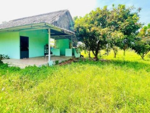 Bán nhà vườn 2249m2 xã An Nhơn Tây, Củ Chi, 30×73