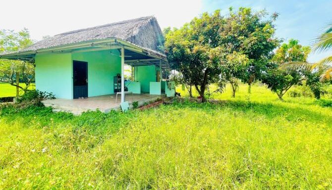 Bán nhà riêng Xã An Nhơn Tây – ảnh 1/6