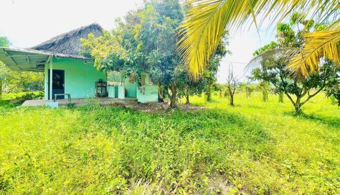 Bán nhà riêng Xã An Nhơn Tây – ảnh 2/6