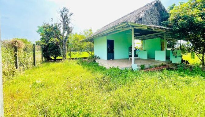 Bán nhà riêng Xã An Nhơn Tây – ảnh 3/6