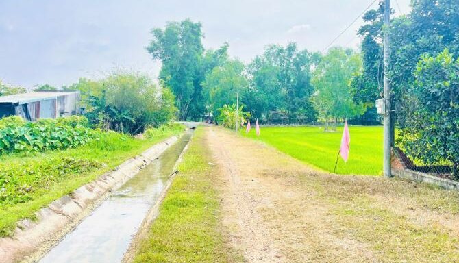 Bán nhà riêng Xã An Nhơn Tây – ảnh 4/6
