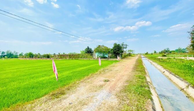 Bán nhà riêng Xã An Nhơn Tây – ảnh 5/6