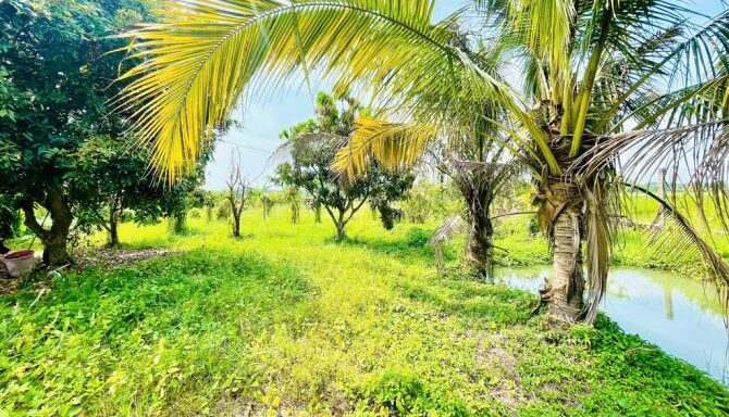 Bán nhà riêng Xã An Nhơn Tây – ảnh 6/6
