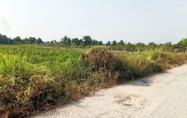 Bán đất vườn 1000m2 xã Bình Mỹ Củ Chi, đường 174