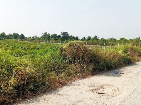 Bán đất vườn 1000m2 xã Bình Mỹ Củ Chi, đường 174