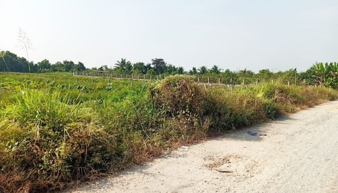 Bán đất nông nghiệp, đất vườn Xã Bình Mỹ – ảnh 1/6