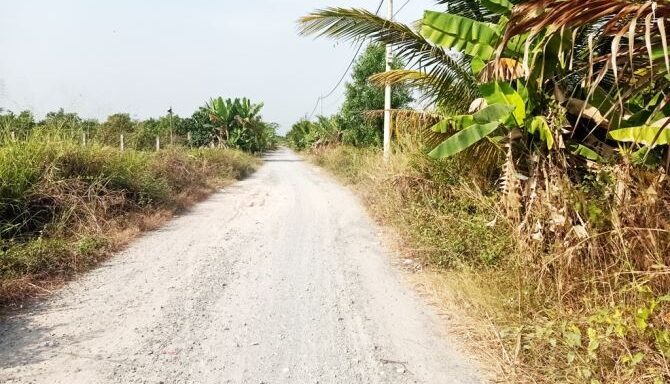 Bán đất nông nghiệp, đất vườn Xã Bình Mỹ – ảnh 4/6