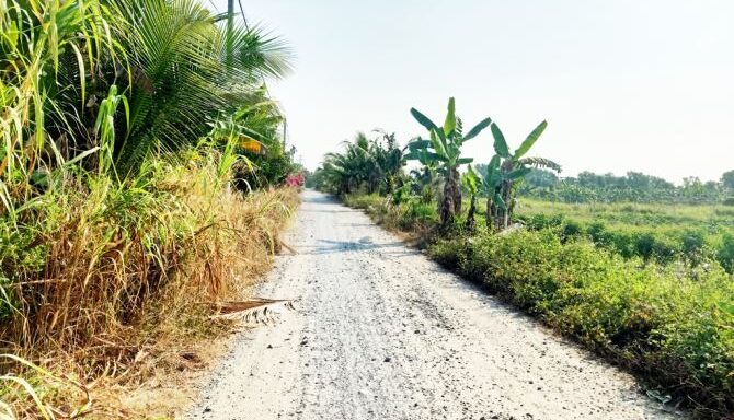 Bán đất nông nghiệp, đất vườn Xã Bình Mỹ – ảnh 5/6