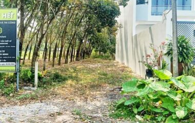 Bán đất thổ cư An Nhơn Tây, Củ Chi 258m2 đường Trần Thị Thuận