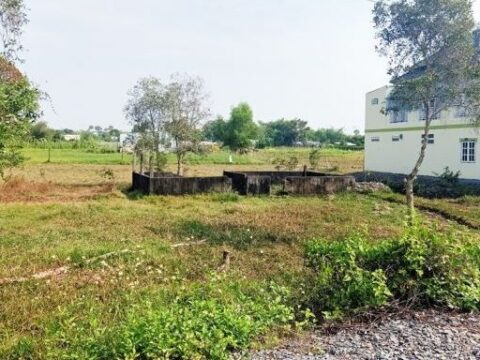 Bán đất vườn Tân Thạnh Đông Củ Chi 1000m2 21×53 hẻm 361