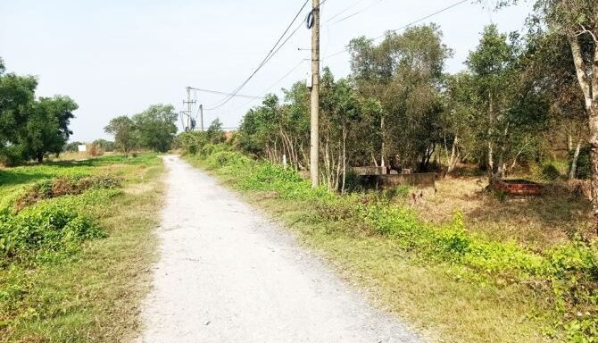 Bán đất nông nghiệp, đất vườn Xã Phú Hòa Đông – ảnh 3/5