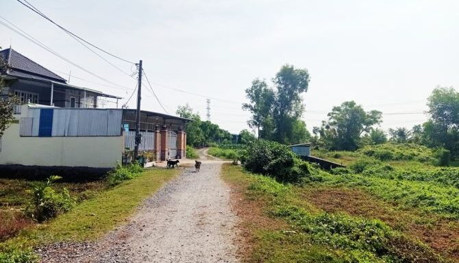 Bán đất nông nghiệp, đất vườn Xã Phú Hòa Đông – ảnh 4/5