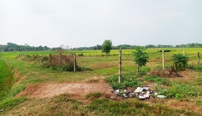 Bán đất nông nghiệp, đất vườn Xã Nhuận Đức – ảnh 1/6