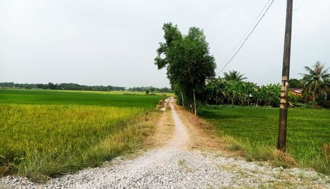 Bán đất nông nghiệp, đất vườn Xã Nhuận Đức – ảnh 5/6