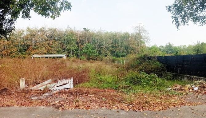Bán đất thổ cư Xã Thái Mỹ – ảnh 1/5