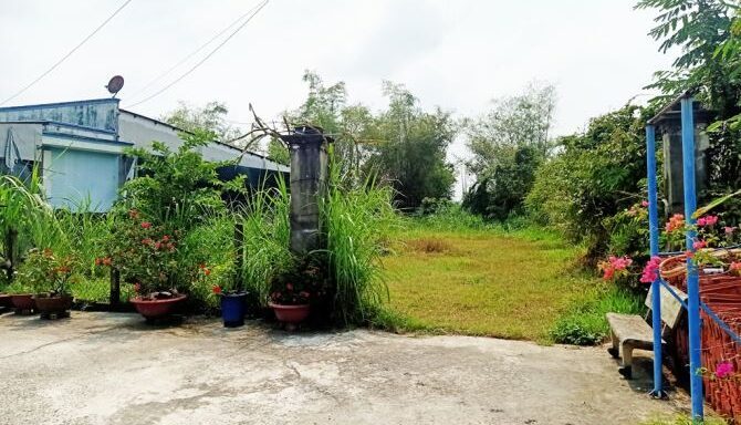 Bán đất thổ cư Xã Thái Mỹ – ảnh 1/5