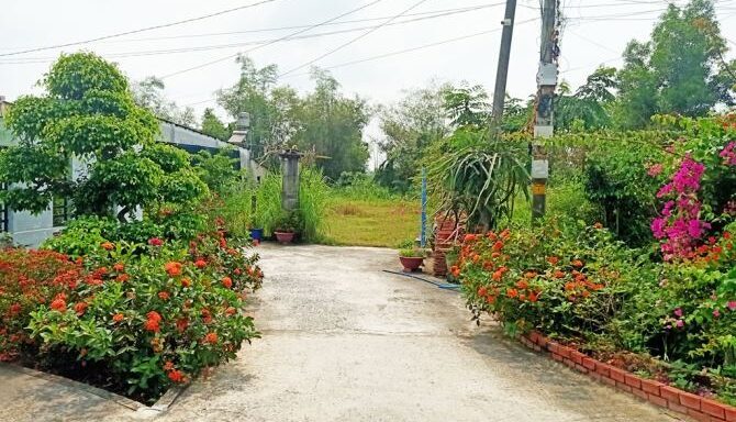 Bán đất thổ cư Xã Thái Mỹ – ảnh 4/5